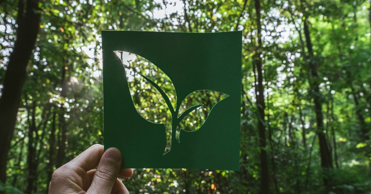 ethical printing practices